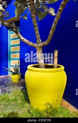 Jardin Majorelle. Topf außerhalb der Villa in der Mitte des Garten Majorelle, Marrakech, Marokko, Nordafrika Stockfoto