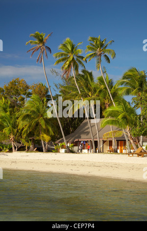 Plantation Island Resort, Malolo Lailai Insel Mamanuca Inseln, Fidschi, Südpazifik Stockfoto