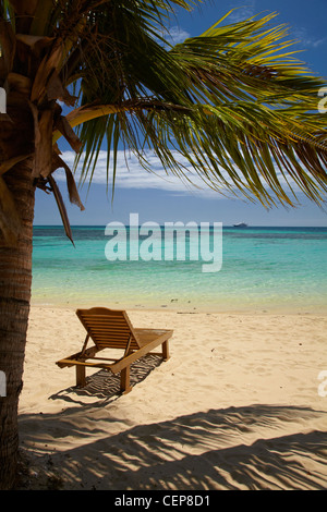 Strand, Palmen und liege, Plantation Island Resort, Malolo Lailai Island, Mamanuca Inseln, Fidschi-Inseln, Süd-Pazifik Stockfoto