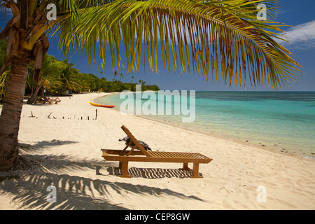 Strand, Palmen und liege, Plantation Island Resort, Malolo Lailai Island, Mamanuca Inseln, Fidschi-Inseln, Süd-Pazifik Stockfoto