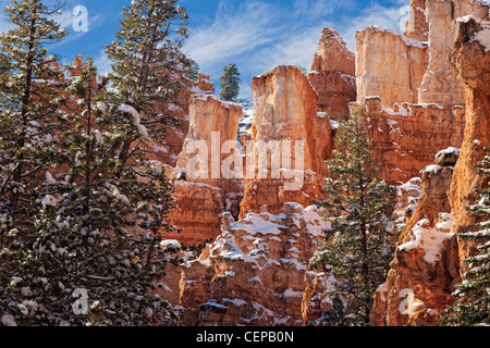 Hoodoos ragen entlang der Navajo Loop Trail in Bryce Canyon National Park in Utah. Stockfoto