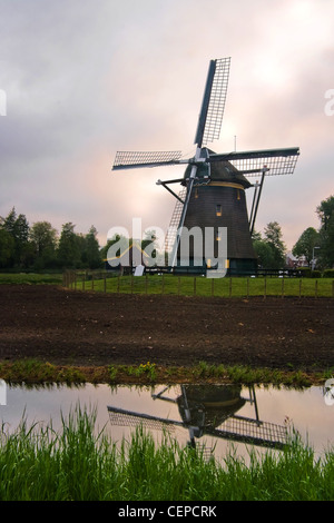 Holländische Mühle, Build Anno 1621, in Ackerland am bewölkten Morgen nach Sonnenaufgang Stockfoto