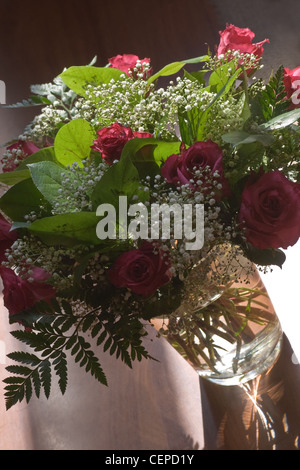 Glas-Vase im Sonnenlicht mit roten Rosen und Gypsy oder Schleierkraut Stockfoto