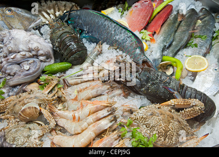 Frische Meeresfrüchte auf Eis in einem Fischrestaurant anzeigen Stockfoto