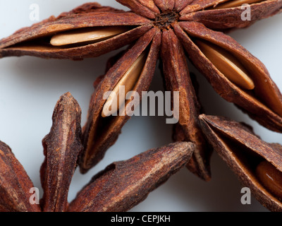 Illicium verum Stockfoto