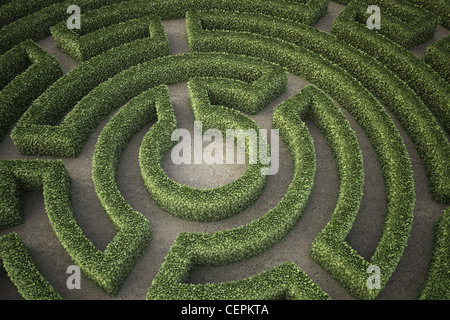 Eine Draufsicht auf ein Garten Labyrinth Stockfoto