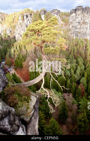 Blick auf die Bastei, Bastei-Brücke, Felsformationen in das Elbsandsteingebirge von Deutschland Stockfoto