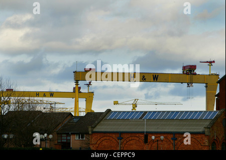 Ein Blick über Tops, die Kraniche im Titanic Quarter von Belfast Hafen bauen. Stockfoto