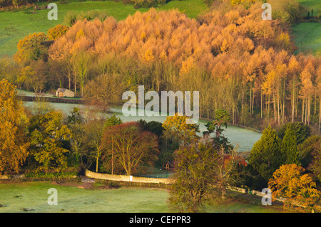 Blick über Nailsworth Tal in Richtung Woodchester aus Rodborough gemeinsamen, am frühen Morgen im Herbst in der Nähe von Stroud Stockfoto