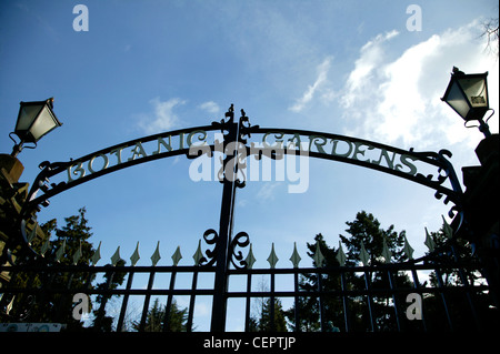 Das Tor am Eingang des Botanischen Gartens in Belfast. Stockfoto