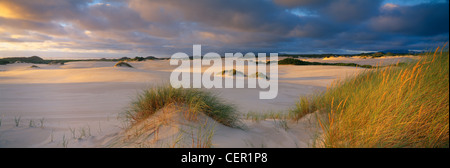 Henty Dünen nr Strahan, West Coast, Tasmanien, Australien Stockfoto