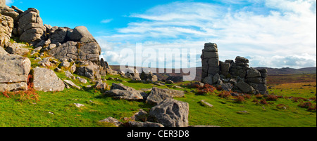 Panoramablick auf Bonehill Felsen, ein Granit-Aufschluss im Dartmoor National Park. Stockfoto