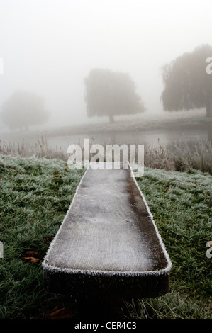 Frostig, nebligen Morgen in Home Park. Stockfoto