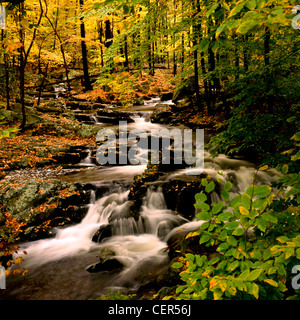 Herbst am kleinen Wasserfall im Harriman State Park in Upstate New York Stockfoto