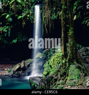 Emerald Pool im Nationalpark Morne Trois Pitons, Dominica Stockfoto