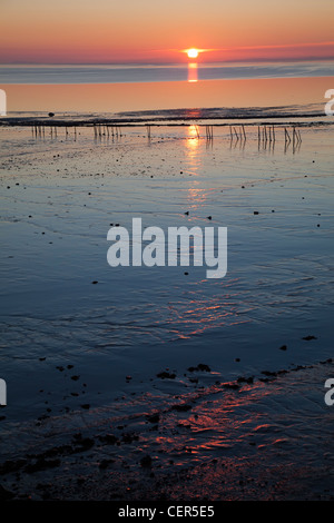 Sonnenuntergang über den Strand und das Wattenmeer Nahrungsgründe auf die Severn Mündung bei Goldcliff in der Nähe von Newport, Gwent, Wales, UK Stockfoto