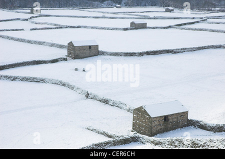 Blick auf Schnee bedeckt, Trockenmauern und Scheunen auf Feldern im Swaledale. Stockfoto