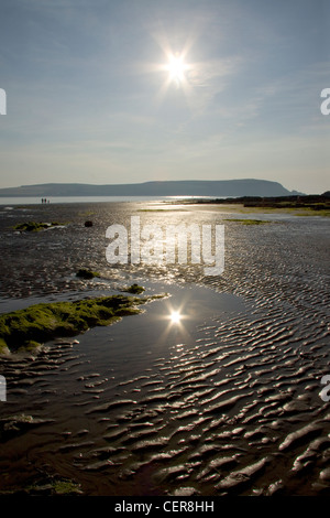 Die Sonne spiegelt sich in einer Lache des Wassers am Strand in Daymer Bay in der Nähe von Trebetherick, North Cornwall. Stockfoto