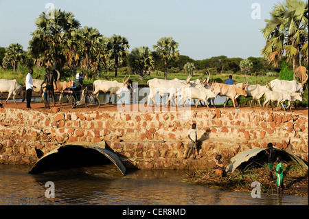 Südsudan, Bahr al Ghazal Region, Lakes State Dinka Stamm mit Zebu-Kühe auf der Straße von Rumbek nach Juba Stockfoto