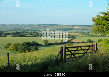 Blick über den Chiltern Hills in Richtung einer Löwe-Form geschnitzt in der Kreide-Hang des Dunstable Downs. Stockfoto