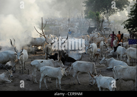 Südsudan, Bahr al Ghazal Region, Lakes State Dinka Stamm mit Zebu-Kühe in Rinder-Camp in der Nähe von Rumbek Stockfoto