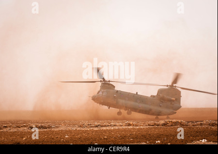 RAF Chinook Hubschrauber auf Manöver in der marokkanischen Wüste, Training für den Einsatz in Afghanistan. Stockfoto