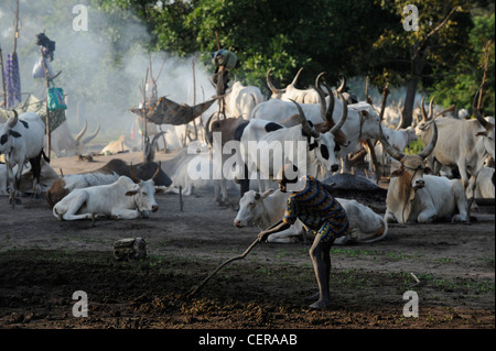 Südsudan, Bahr al Ghazal Region, Lakes State Dinka Stamm mit Zebu-Kühe in Rinder-Camp in der Nähe von Rumbek Stockfoto