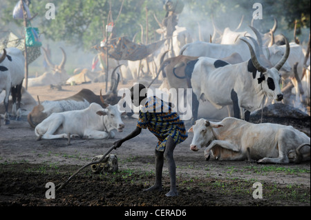 Südsudan, Bahr al Ghazal Region, Lakes State Dinka Stamm mit Zebu-Kühe in Rinder-Camp in der Nähe von Rumbek Stockfoto