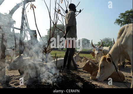 Südsudan, Bahr al Ghazal Region, Lakes State Dinka Stamm mit Zebu-Kühe in Rinder-Camp in der Nähe von Rumbek Stockfoto