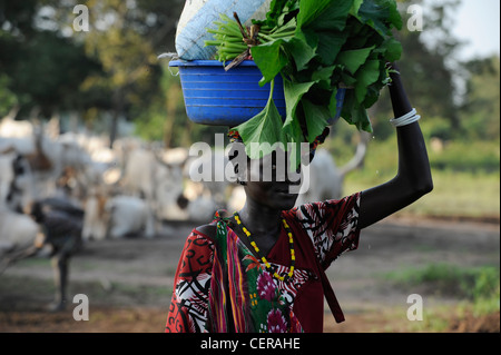 Südsudan, Bahr al Ghazal Region, Lakes State Dinka Stamm mit Zebu-Kühe in Rinder-Camp in der Nähe von Rumbek Stockfoto