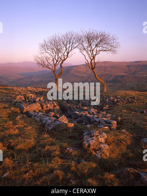 Von Feizor Nick oberhalb des Weilers Feizor, in der Nähe von Settle. Das Foto zeigt einen Blick auf Ingleborough (auf der linken Seite) und Moughton Stockfoto