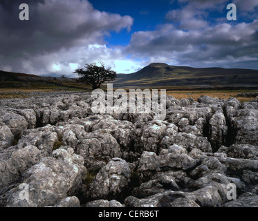 Ingleborough wie aus dem Kalkstein Pflaster auf Twistleton Narbe in der Nähe von Ingleton gesehen. Es ist eines der Yorkshire Dales berühmten Thre Stockfoto