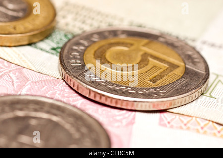 Polnische Geld. Selektiven Fokus. Stockfoto