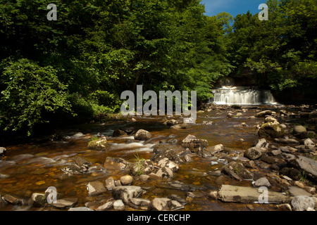 Cotter Force Wasserfall, Wensleydale, Yorkshire Dales, UK Stockfoto