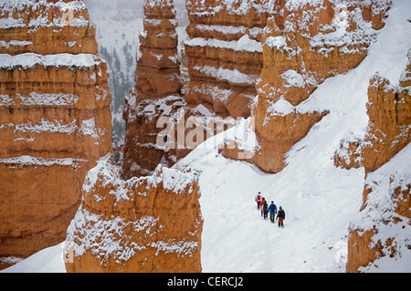 Winter Wandern Party am Navajo Loop Trail unterhalb Sunset Point, Bryce-Canyon-Nationalpark, Utah, USA Stockfoto
