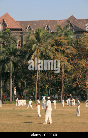 Indien, Maharashtra, Mumbai, Oval Maidan, Cricket, Spieler, Stockfoto