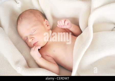 Neugeborene schlafen in Decke gehüllt Stockfoto