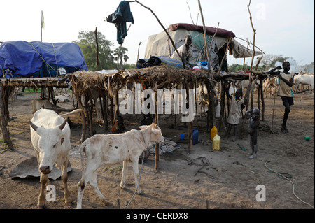 Südsudan, Bahr al Ghazal Region, Lakes State Dinka Stamm mit Zebu-Kühe in Rinder-Camp in der Nähe von Rumbek Stockfoto