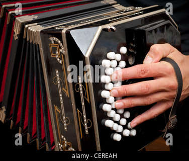 Spielen Sie das Bandoneon, traditionellen Tango Instrument, Argentinien. Stockfoto