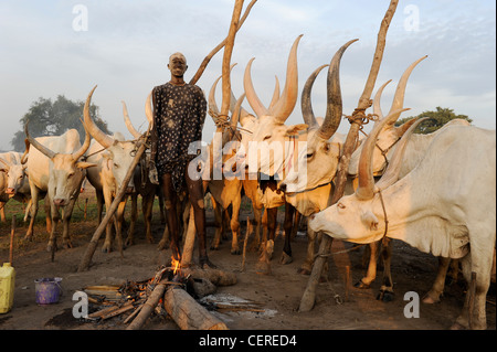 Südsudan, Bahr al Ghazal Region, Lakes State Dinka Stamm mit Zebu-Kühe in Rinder-Camp in der Nähe von Rumbek Stockfoto