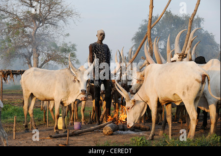 Südsudan, Bahr al Ghazal Region, Lakes State Dinka Stamm mit Zebu-Kühe in Rinder-Camp in der Nähe von Rumbek Stockfoto