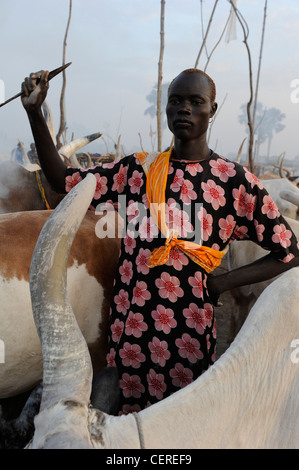 Südsudan, Bahr al Ghazal Region, Lakes State Dinka Stamm mit Zebu-Kühe in Rinder-Camp in der Nähe von Rumbek Stockfoto