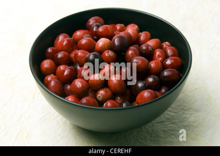 Neue Jahre Resolutionen gesunde Entscheidungen Schwarz voller Preiselbeeren auf einem einfarbigen Hintergrund Kamera Presse James platziert Schüssel Stockfoto