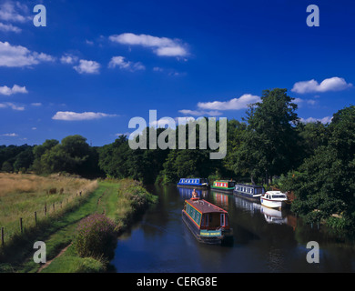 Lange Boote auf dem Fluss Wey im Shalford. Stockfoto