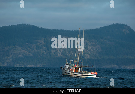 Hering Angelboote/Fischerboote arbeiten Georgia Straight, Vancouver Island. BC Kanada.  SCO 8034 Stockfoto