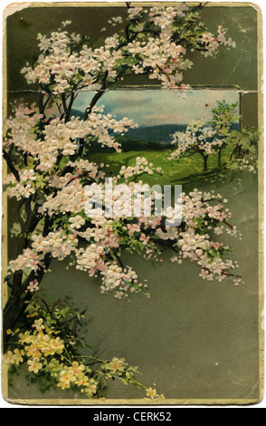 JAPAN - um 1910: Postkarte gedruckt in Japan zeigt Sakura, um 1910 Stockfoto