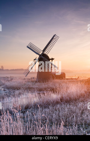 Hoar Milchglas Schilf und Morgennebel an Herringfleet Windmühle. Stockfoto