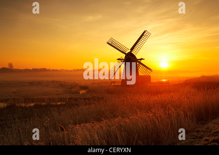 Hoar Milchglas Schilf und Morgennebel an Herringfleet Windmühle. Stockfoto