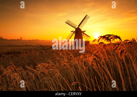 Hoar Milchglas Schilf und Morgennebel an Herringfleet Windmühle. Stockfoto