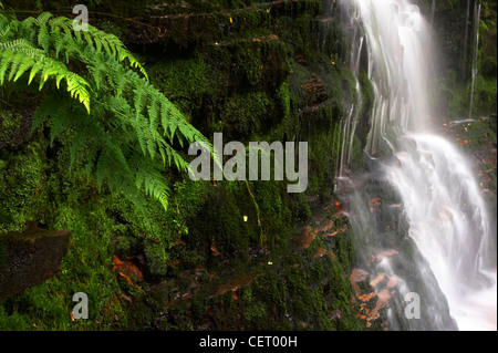 Schwarzen Clough verliebt sich in Derbyshire Peak District. Stockfoto